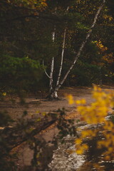 Bon Echo Provincial Park in Ontario, Canada. A spectacular landmark in North America alongside Mazinaw Lake. Autumn leaves and fall colors late in the season making for a beautiful landscape.