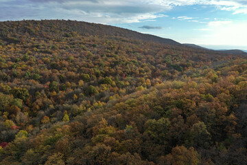Fototapeta na wymiar Western Maryland Mountains Forest in Autumn