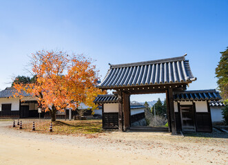 Fototapeta na wymiar 岩村城平重門と紅葉の樹