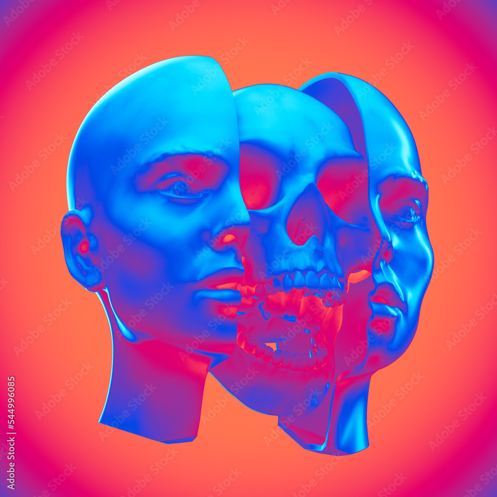 Fototapete abstract anatomic concept illustration from 3d rendering of a marble female head sliced open in two 