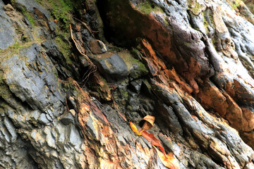 A large layered sedimentary river rock sits on the river Boro-Boro, Southeast Sulawesi, Indonesia.