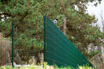 Steel grill. Green fence with wire. Fencing. Grating wire industrial fence panels. Metal mesh...