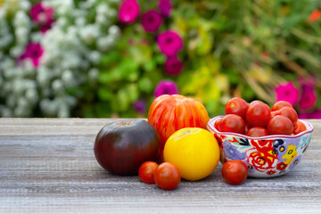 Variety of tomatoes, big and small, on the wooden table in the garden.