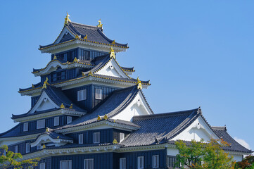 Obraz premium 岡山城天守の裏側