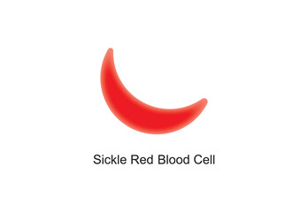 Scientific Designing of Sickle Red Blood Cell. Colorful Symbols. Vector Illustration.