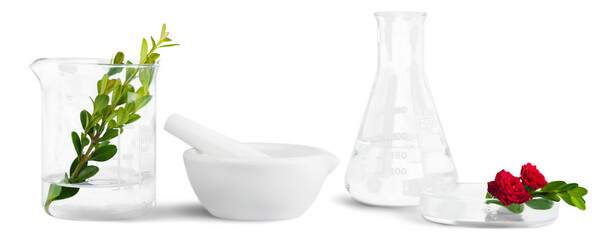 Scientific glassware with flowers and herbal. Natural skin care beauty products concept.