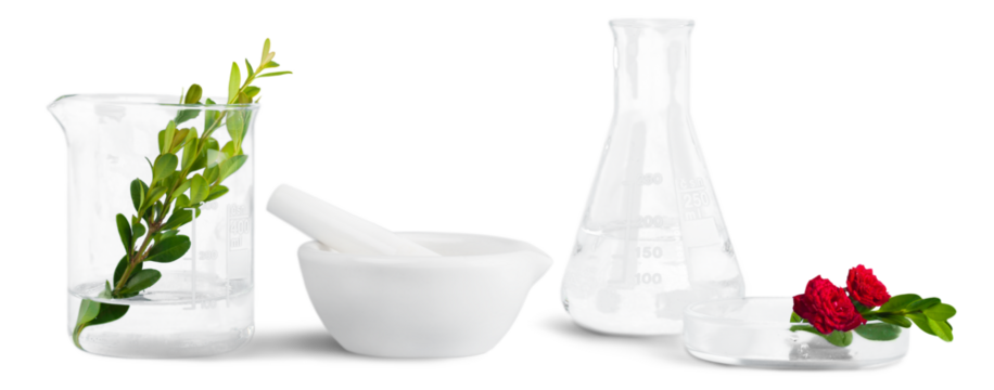 Scientific glassware with flowers and herbal. Natural skin care beauty products concept.