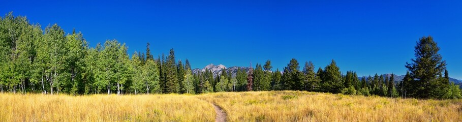 Bear Canyon hiking trail views by Mount Timpanogos Peak Wasatch Range, Utah. USA.  