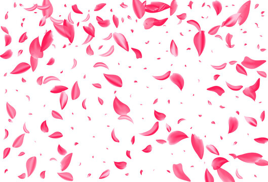 Pink Peach Flying Vector White Background. Fly