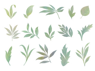 Naklejka na ściany i meble Set of watercolor leaves for design of cards and invitations