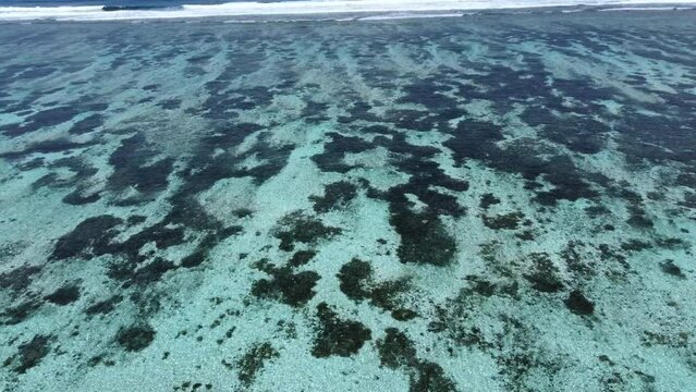 Aerial view of waves breaking on new coral in Bougainville, Papua New Guinea.