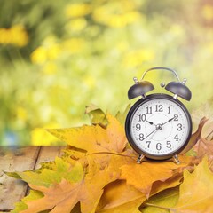 Retro alarm clock and dry leaves on desk