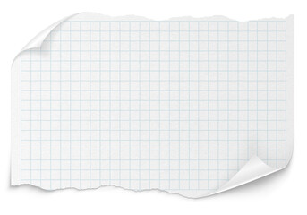 Checkered paper on a transparent background. White note pad paper.
