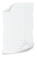 Checkered paper on a transparent background. White note pad paper.