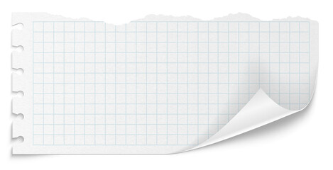 Checkered paper on a transparent background. White note pad paper.