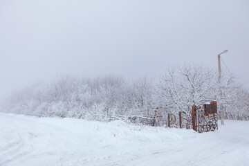 Winter Nature Reserve . Nature covered by snow scenery 