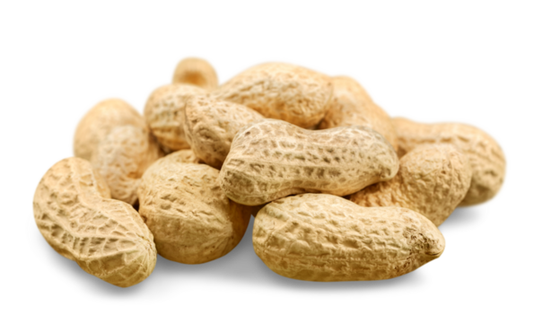 nuts and dried fruits collection