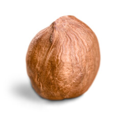 Forest nuts hazelnuts isolated on white background