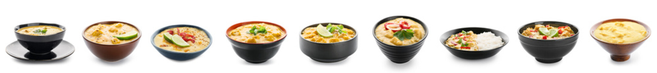 Group of tasty chicken curry on white background