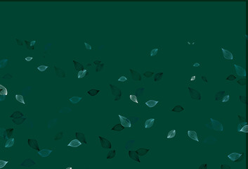 Light Green vector doodle layout.