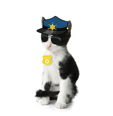 Cute kitten dressed as police officer on white background