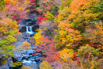 付知峡の紅葉（本谷橋からの眺め）