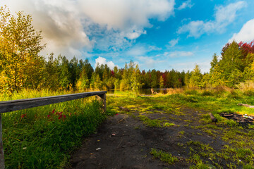 Fototapeta na wymiar Autumn landscape near the forest lake on a clear day