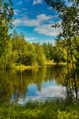 Fototapeta na wymiar Clear autumn day at the forest lake