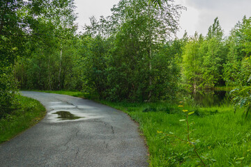Fototapeta na wymiar Asphalt road for running along the autumn forest