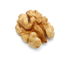 Fresh walnut kernel isolated on white background