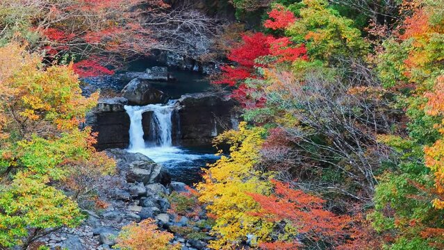付知峡の紅葉（本谷橋からの眺め）