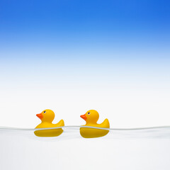duck toys floating on water