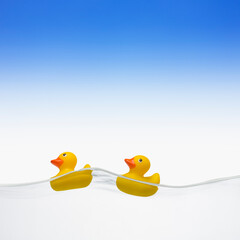 duck toys floating on water