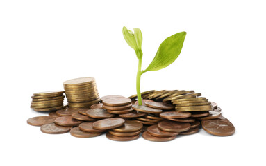 Pile of coins and green plant on white background. Investment concept