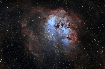 IC 410 - The Tadpoles Nebula
