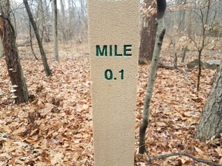0.1 mile marker post in forest or woods with leaves