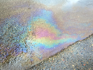 rainbow spot of gasoline on the asphalt after the rain