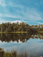 reflection of trees in lake