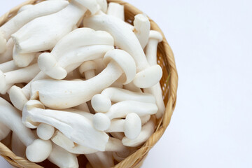 White beech mushrooms, Shimeji mushroom, Edible mushroom on white background.