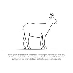 Goat line design. Simple animal silhouette decorative elements drawn with one continuous line. Vector illustration of minimalist style on white background.