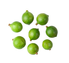 Macadamia nuts on transparent png