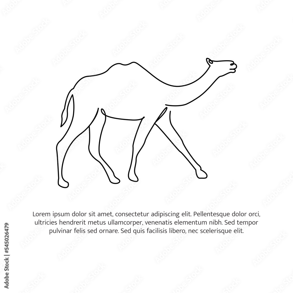 Aufkleber camel line design. simple animal silhouette decorative elements drawn with one continuous line. vect