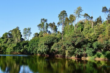 A view of the Parramatta River at Parramatta in Sydney, Australia