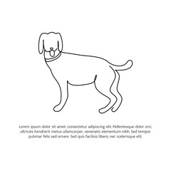 Dog line design. Simple animal silhouette decorative elements drawn with one continuous line. Vector illustration of minimalist style on white background.