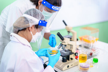 Fototapeta premium Modern Medical Research Laboratory: Stem cell researcher working in laboratory Study on Stem Cells on the Stereo microscope view in laboratory , Advanced Scientific Lab for Medicine, Biotechnology.