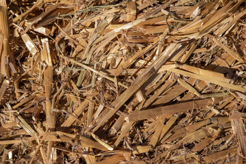Full frame abstract texture background of golden straw bale grain stalks in natural sunlight
