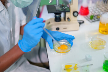 Modern Medical Research Laboratory: Stem cell researcher working in laboratory Study on Stem Cells on the Stereo microscope view in laboratory , Advanced Scientific Lab for Medicine, Biotechnology.