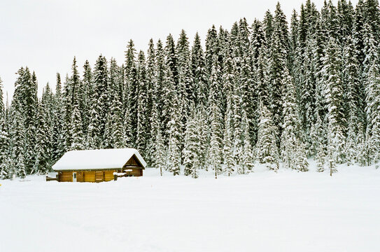 snow covered cabin in the woods 