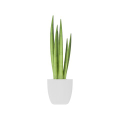 Plant, Plant PNG, Download Plant Transparent Background