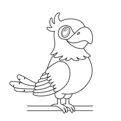 Line parrot bird sitting on branch. Outline cartoon cute character isolated on white for coloring book